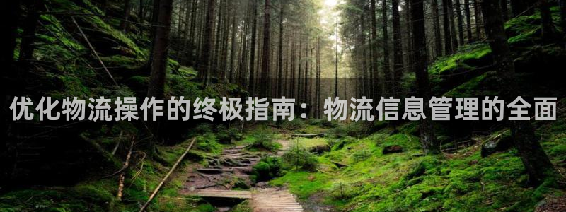 28圈ccm官網版：優化物流操作的終