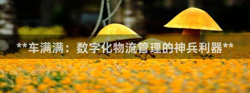 28圈怎么注冊(cè)賬號(hào)