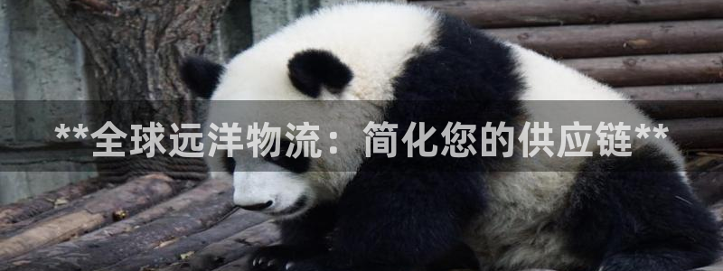 28圈模擬器下載：**全球遠洋物流：