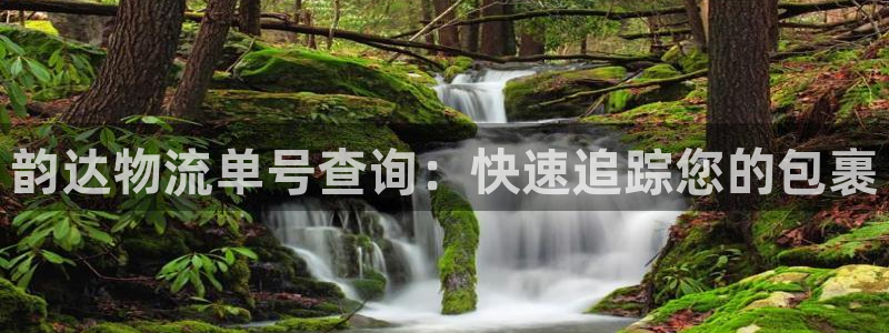 28圈模擬器下載：韻達物流單號查詢：