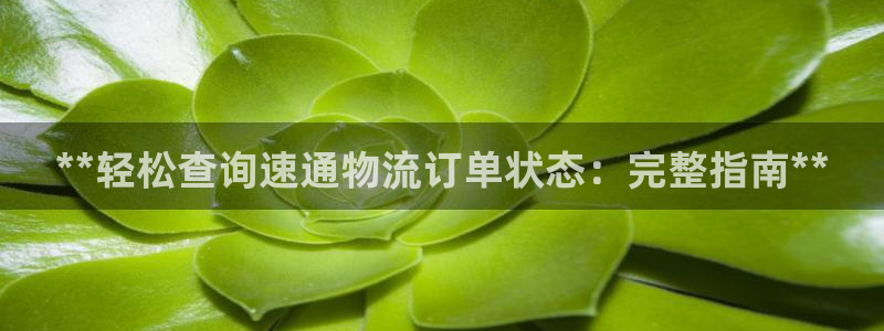 28圈比特28真實(shí)嗎：**輕松查詢速