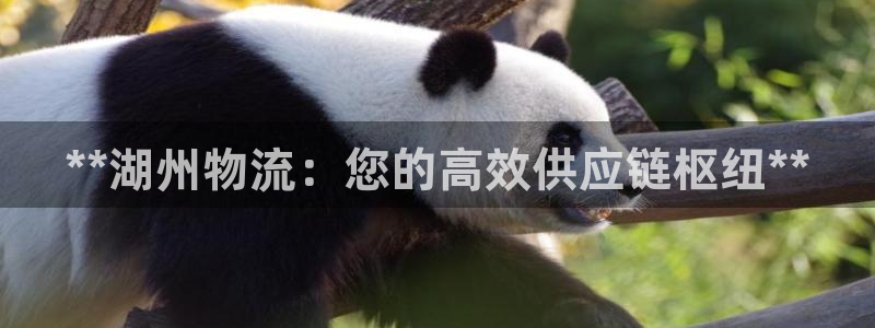 28圈注冊問一問：**湖州物流：您的