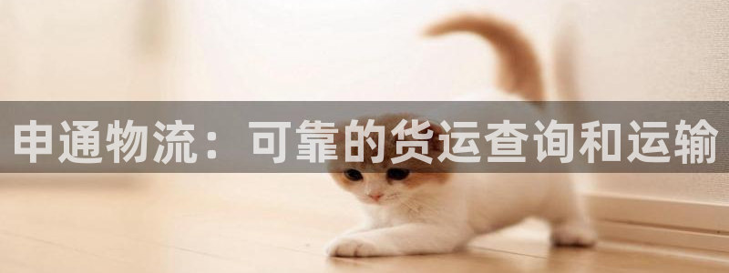 28圈怎么注冊賬號和密碼:申通物流: