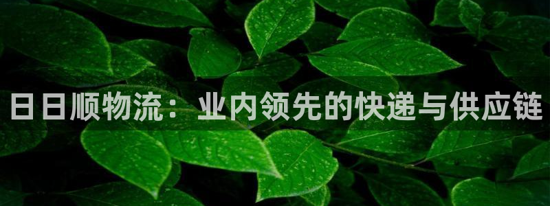 28圈龍虎：日日順物流：業內領先的快