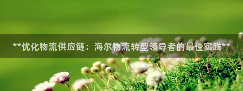 28圈下分了不給錢:**優化物流供應