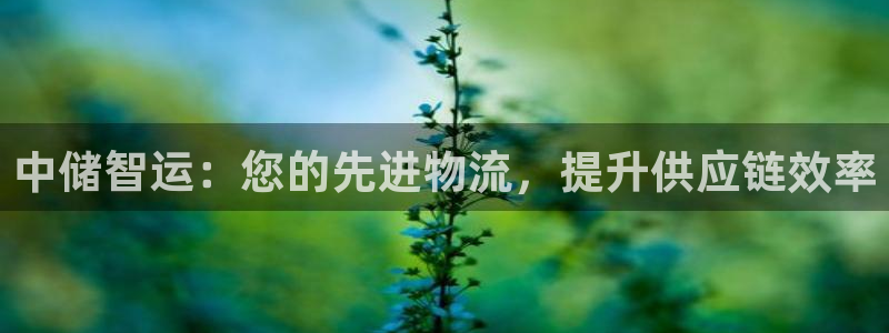 28圈p扣除是什么意思：中儲智運：您