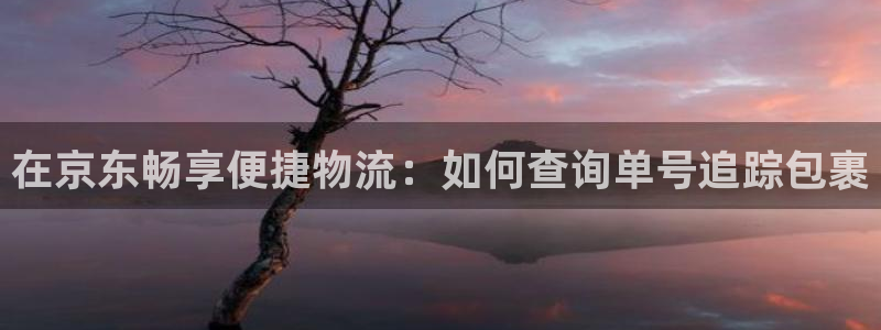 28圈官網注冊：在京東暢享便捷物流：