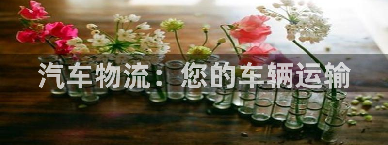 28圈注冊鏈接入口