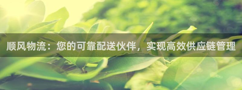 28圈登錄不上咋回事：順風(fēng)物流：您的
