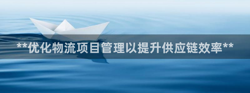 28圈官網(wǎng)平臺(tái)：**優(yōu)化物流項(xiàng)目管理