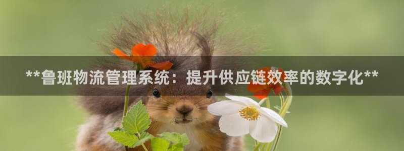 加拿大28圈是什么