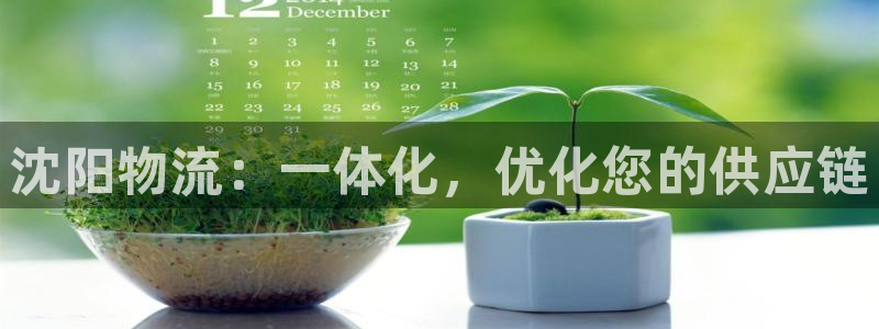 28圈.ccm官網(wǎng)：沈陽物流：一體化