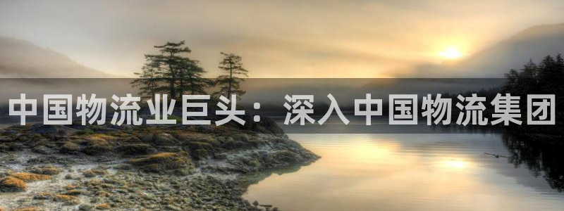 28圈分分28輸了能不能退：中國物流