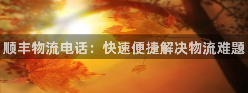 28圈注冊網站鏈接是什么