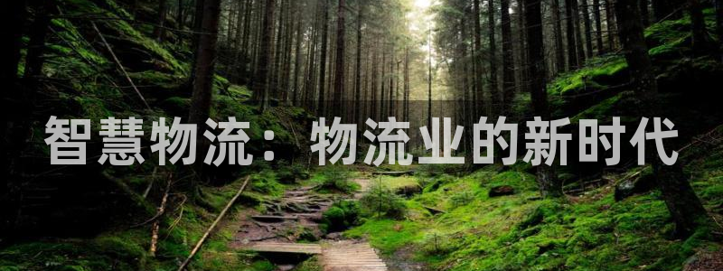 28圈加拿大模擬器