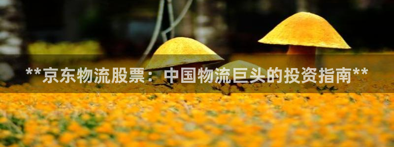 28圈能提現(xiàn)嗎