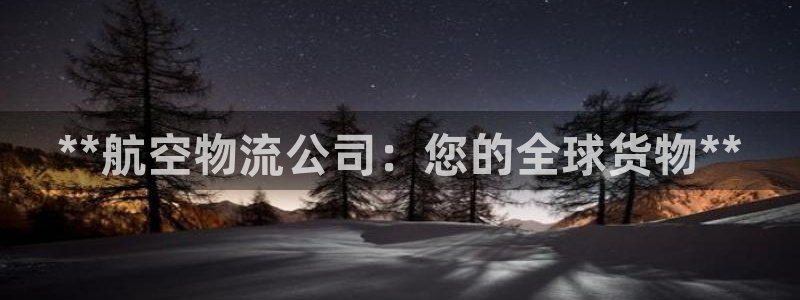 28圈軟件是什么:**航空物流公司: