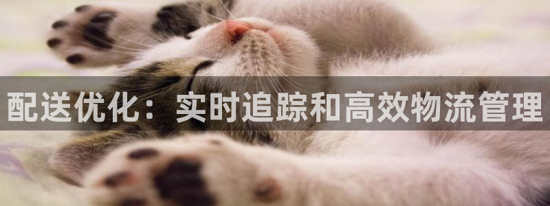 28圈注冊二維碼