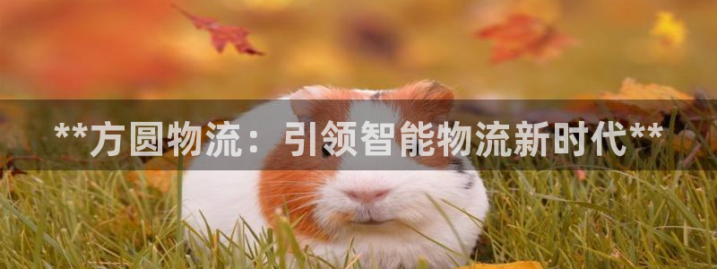 28圈起來的符號:**方圓物流:引領