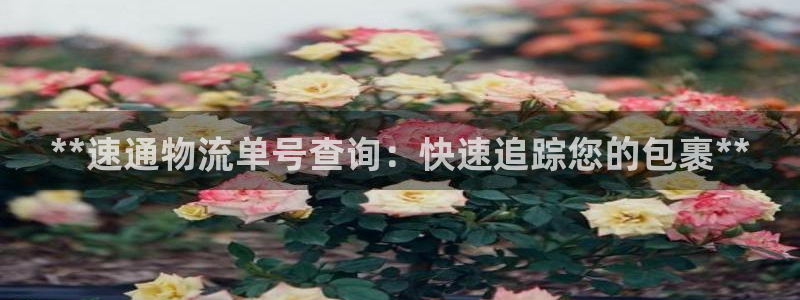 28圈注冊步驟：**速通物流單號查詢