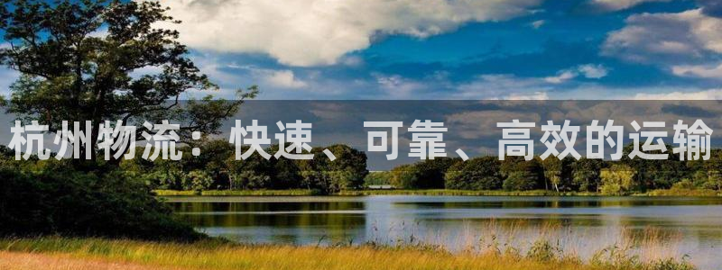 28圈ccm游戲:杭州物流:快速、可