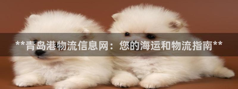 28圈相信品牌的力量