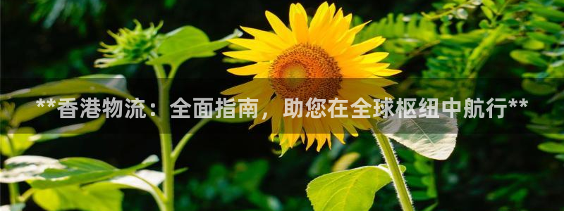 28圈加拿大app預測