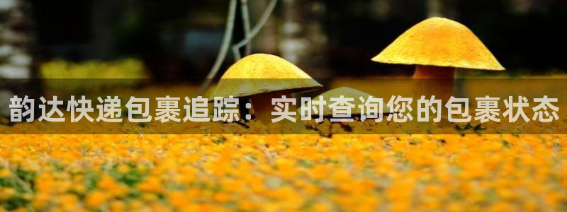 28圈h5鏈接：韻達快遞包裹追蹤：實