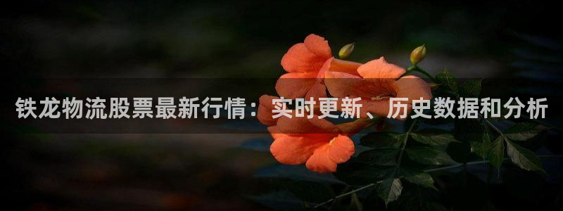 28圈能贏錢嗎
