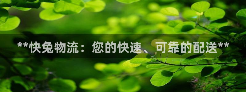 28圈在線預(yù)測