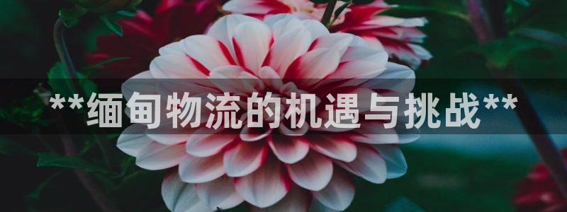 28圈官方官網(wǎng)