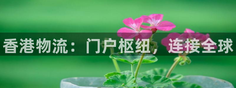 28圈起來的符號