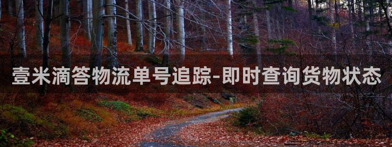 28圈如何注銷賬號：壹米滴答物流單號