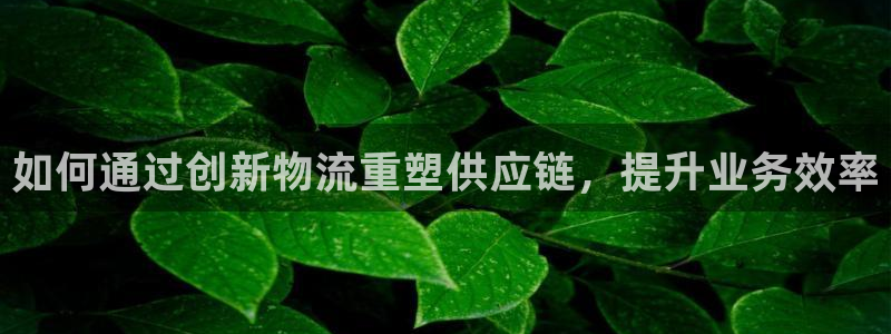 28圈加拿大模擬器