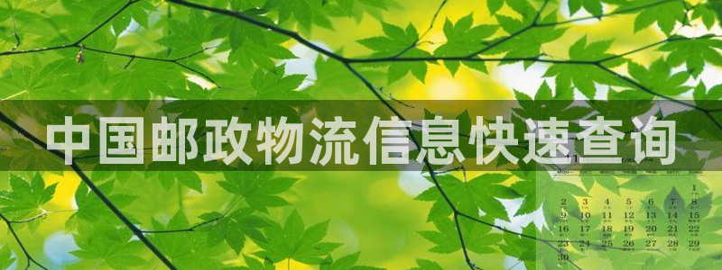 28圈官網(wǎng)多少