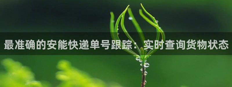 28圈充值為什么充不了：最準(zhǔn)確的安能