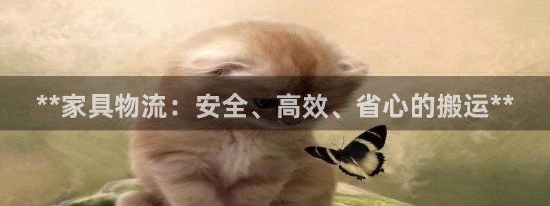 28圈充值金額隨便