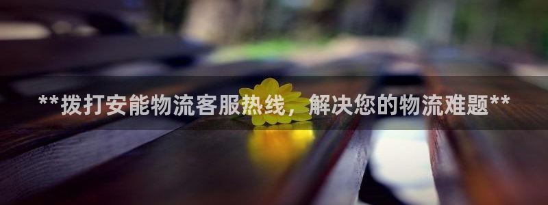 28圈app官網(wǎng)少林足球