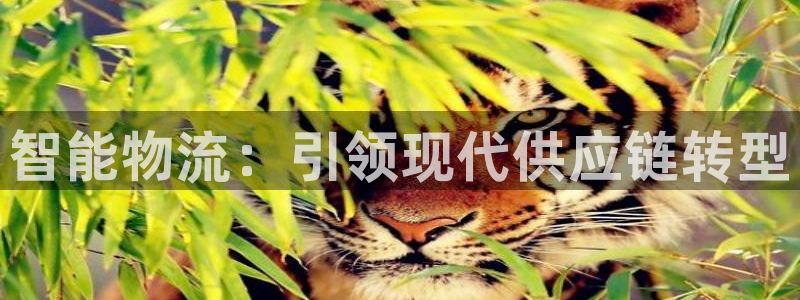 28圈注冊登錄流程