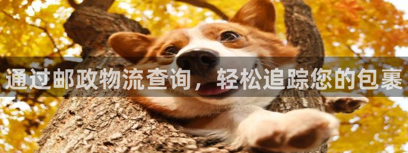 28圈官網版下載