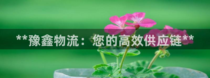 28圈注冊鏈接入口