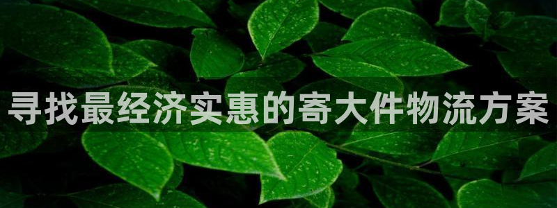 28圈客服一直不回消息怎么辦