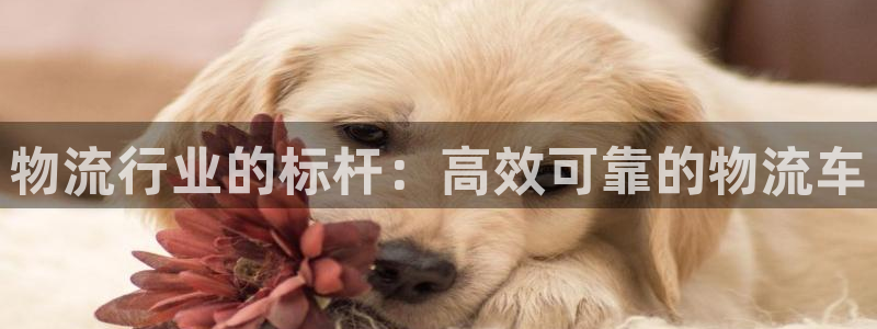 28圈ip被限制怎么解決