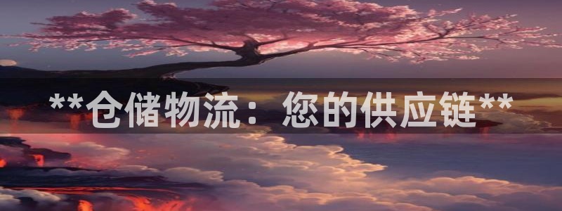 28圈注冊(cè)網(wǎng)站APP