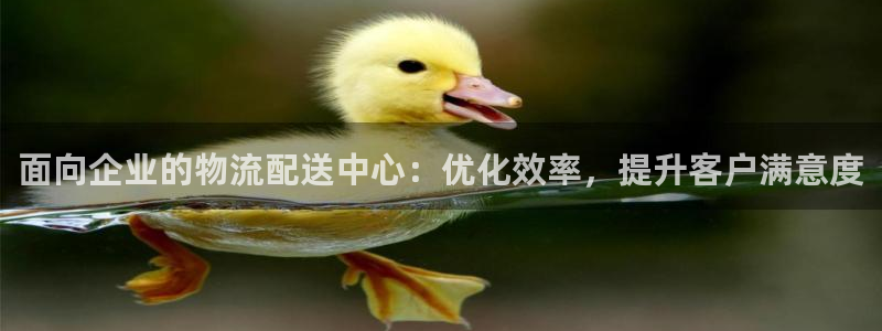 28圈加拿大模擬器