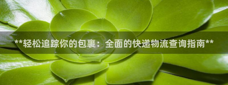 28圈官方網站預測