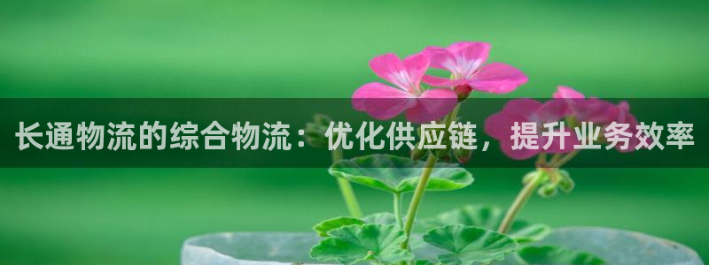 28圈加拿大app預(yù)測(cè)