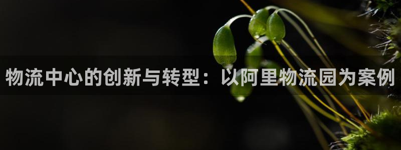 28圈模擬器在線玩