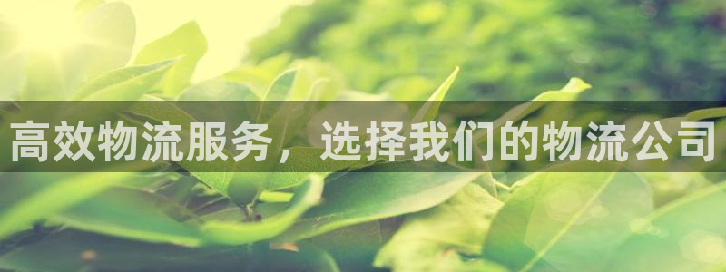 28圈注冊網(wǎng)站多少錢