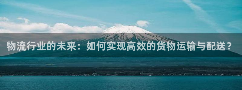 28圈在線預測官網